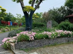 -嬉乐湾休闲旅游区