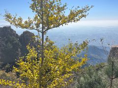 -泰山风景名胜区