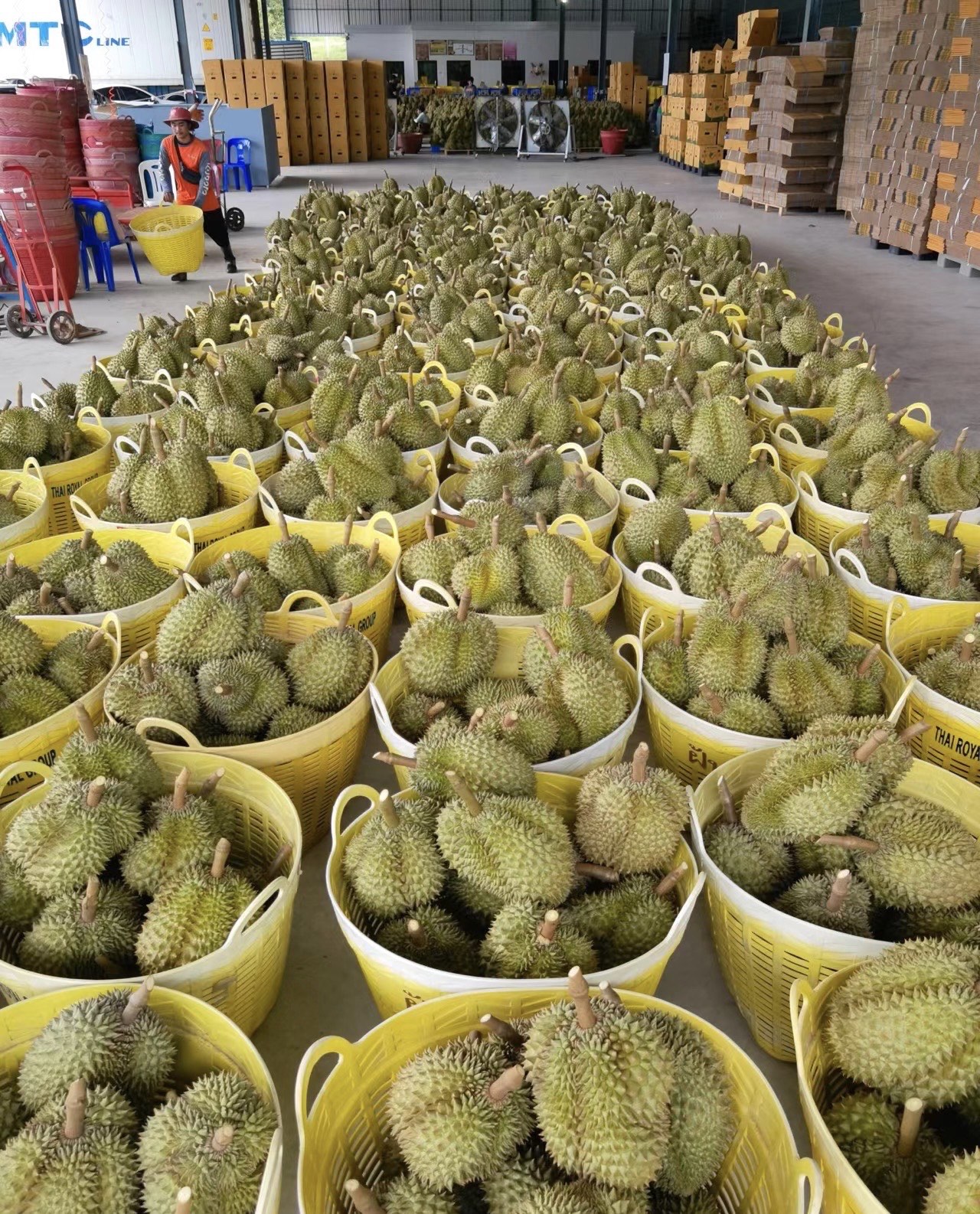 批发怎么样卖榴莲