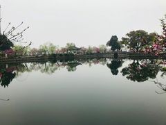 -无锡蠡湖国家湿地公园-蠡园