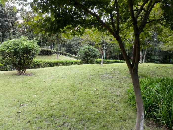 西文公园-"公园整体真的不算大,非常有一种城市里面一.