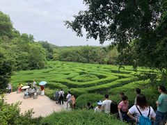 -大屏嶂森林公园