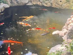 -鲤院·新中式美学·庭院餐厅(夫子庙店)