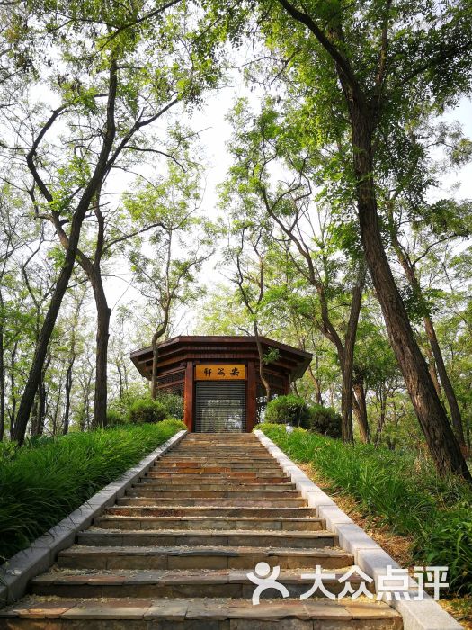 仙人岛宾馆图片 - 第25张