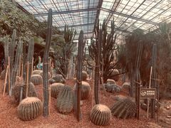 -呀路古热带植物园