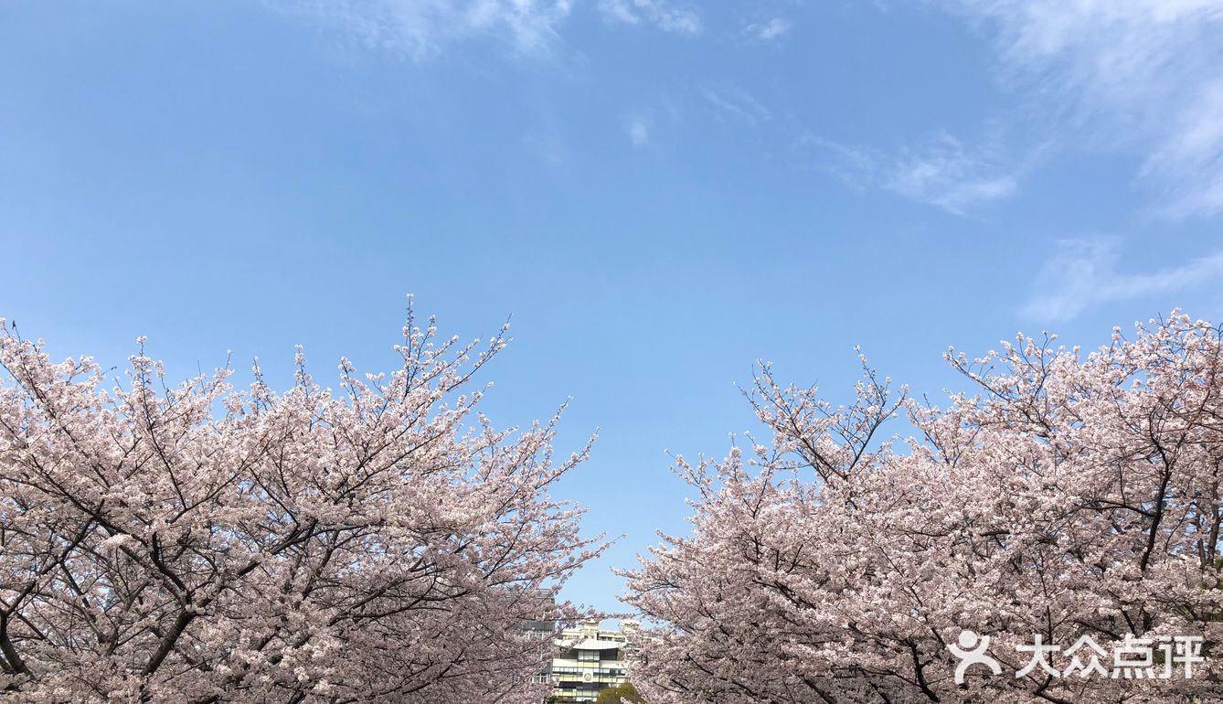 同济🌸