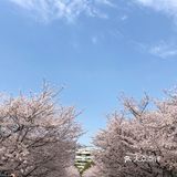 同济🌸