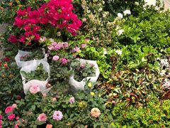 -双季花艺园艺市场(浦东店)