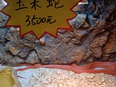 -姑苏二十四集(iD PARK 歌林公园店)