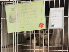 -瑞派康怡24h宠物医院·犬猫医疗中心·微创绝育(瑞景分院)
