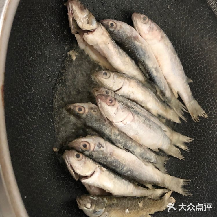 香煎乌头鱼，肉质细腻鲜美！