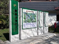 -野象谷景区