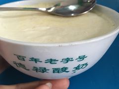 -德禄酸奶(莫家街店)