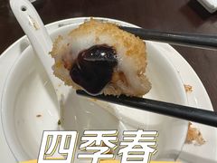 -四季春