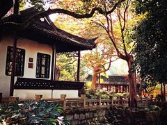 -上海醉白池公园