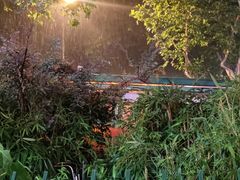 -凡老头米线砂锅(古荡新村西粮站)