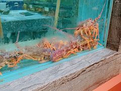 -海逸海鲜酒家(古北店)