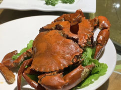 -鑫阿强海鲜大排档·老厦门特色菜(中山路店)
