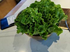 -杨记齐齐哈尔烤肉(总店)