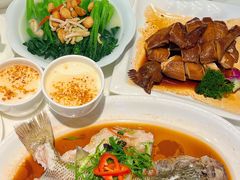 榄角蒸鲈鱼-虾饺妹·酒家(金碧店)