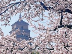 -大雁塔文化休闲景区-北广场