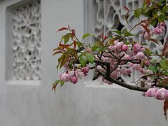 -拙政园