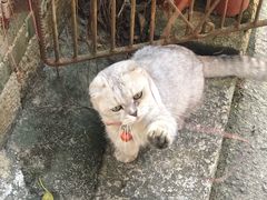 -老屋咖啡