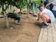 -西霞口神雕山野生动物世界