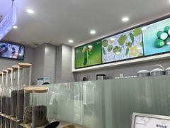 -雾与山茶(大禹城店)