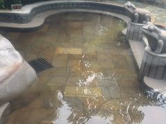 -碧水湾温泉