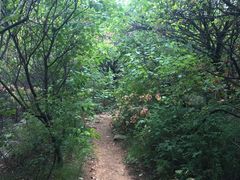 -龙洞风景区-藏龙涧