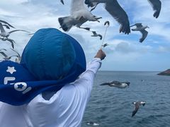 -海驴岛(荣成市)