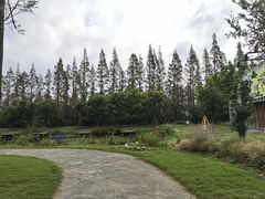 -前小桔亲子创意农场·草莓采摘·露营烧烤