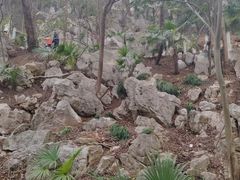 -石钟山