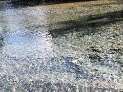 -鹿院坪生态旅游景区
