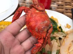 -龙达温泉生态城