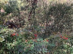 -宁波市保国寺古建筑博物馆