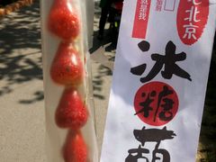 -老北京冰糖葫芦(春明路店)