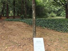 -昆明植物园