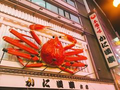 -蟹道乐(道顿堀本店)