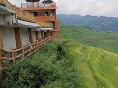 -紫鹊界梯田景区