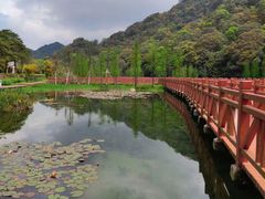 -广州市石门国家森林公园