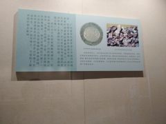 -南越王博物院(王宫展区)