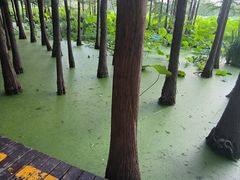 -云龙湖旅游景区