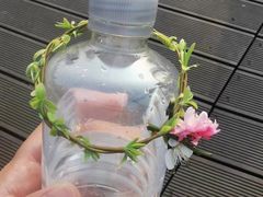 -狼山风景名胜区