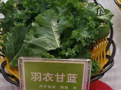 -教师之家赵家羊汤馆(东青龙街店)