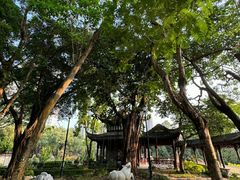 -九龙寨城公园