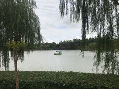-上海鲜花港