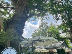 -Trung Nguyen Café Legend