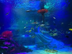 -沈阳海洋探索中心